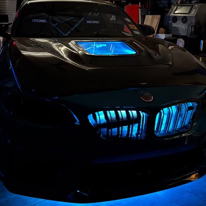 BMW Custom Grille