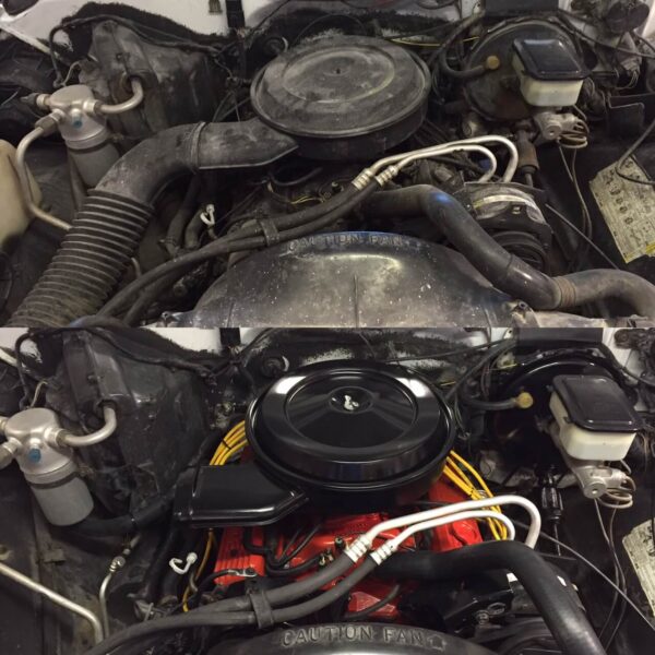 Engine Detailing Services